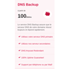 DDNS service Backup assure que le serveur DNS de votre domaine résout toujours et répond rapidement.